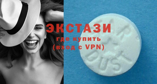 индика Мегион