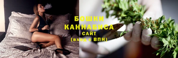 индика Мегион