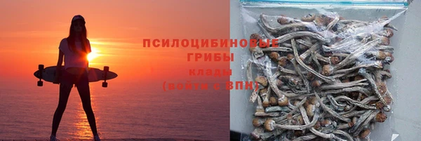 эйфоретик Медвежьегорск