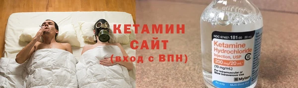 индика Мегион