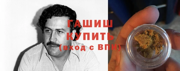индика Мегион