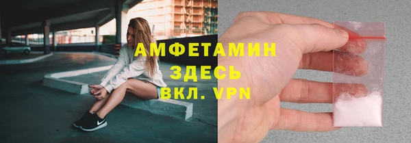 индика Мегион