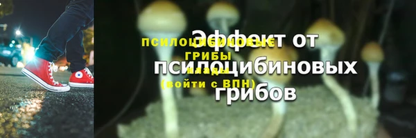 эйфоретик Медвежьегорск