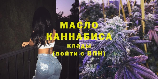 индика Мегион