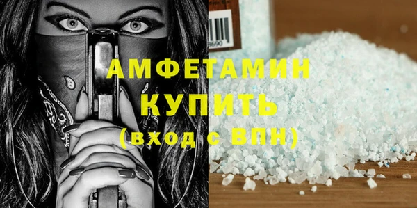 индика Мегион