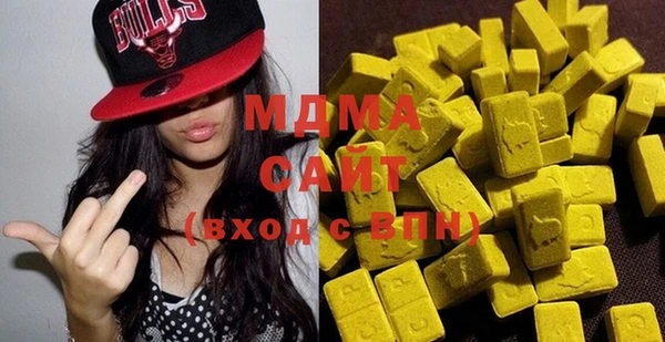 индика Мегион