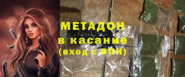 индика Мегион