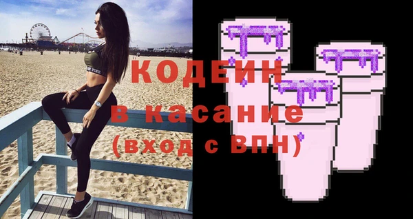 индика Мегион